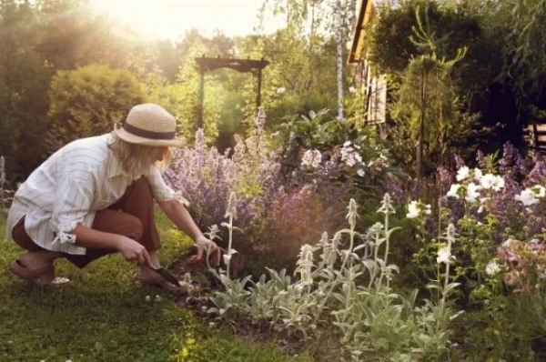 Изображение к статье: Оставаться в тонусе. Упражнения для восстановления после дачных работ
