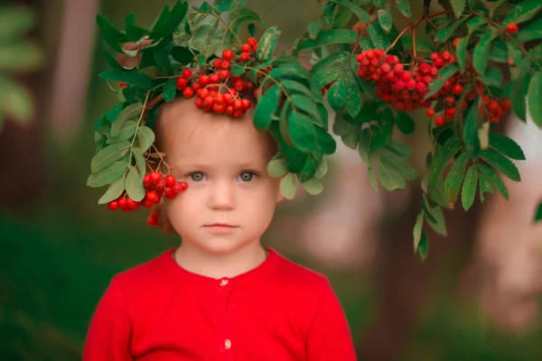 Изображение к статье: Народные приметы на 25 сентября — Артамон (Автоном), Змеиный день