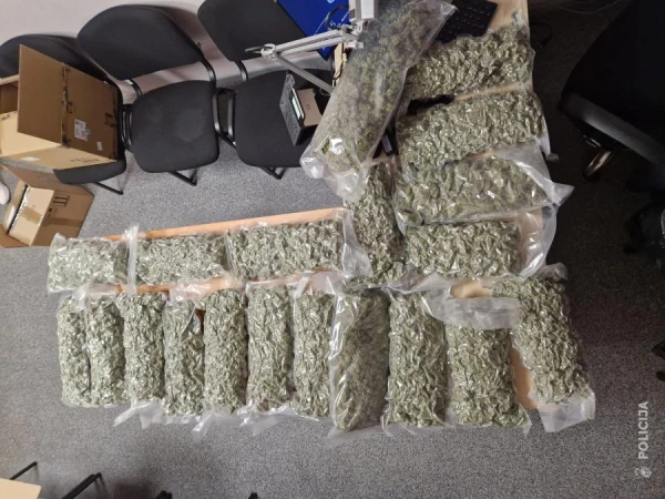 Изображение к статье: Полиция изъяла 36 килограммов марихуаны у двух мужчин в Даугавпилсе