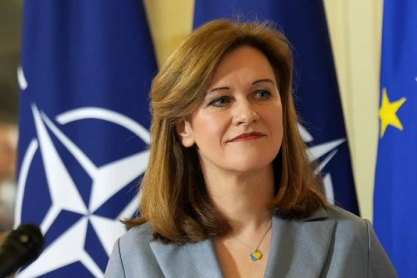 Изображение к статье: Необходимо найти баланс между свободой слова и решениями по защите демократии - политик