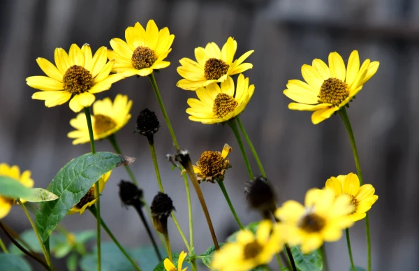 Изображение к статье: Синоптики огласили прогноз на пятницу