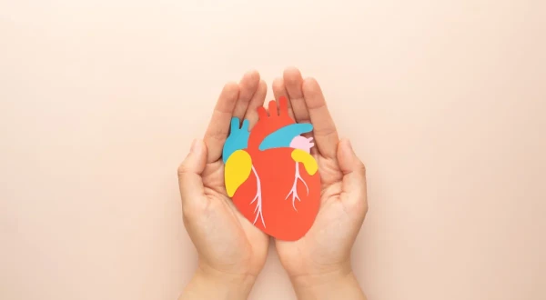 Изображение к статье: 2–3 порции в неделю — и сердце в безопасности: ученые нашли достойную замену красному мясу