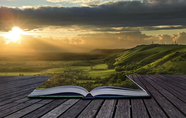 Изображение к статье: Астрологи определили самые мудрые знаки Зодиака