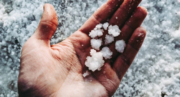 Изображение к статье: Названа повышающая вероятность инфаркта и инсульта специя