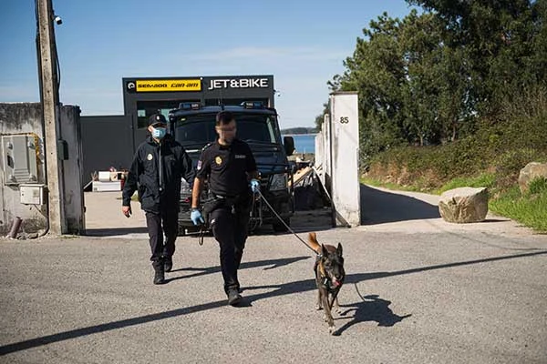 Изображение к статье: Силовики королевства не горят на работе.