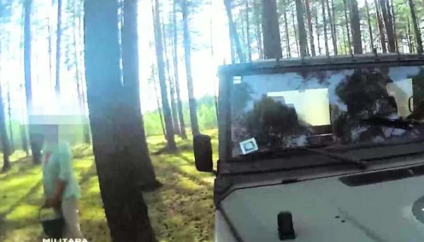 Изображение к статье: Пуля вместо грибного соуса: как на полигоне Адажи ловят грибников