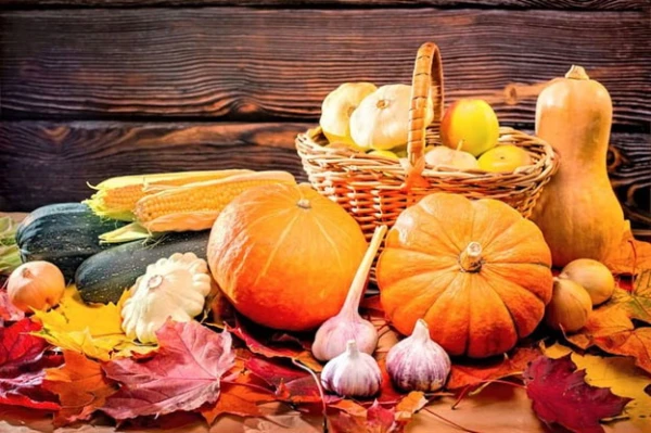 Изображение к статье: Тёплая еда, крепкий иммунитет: как питаться осенью с пользой