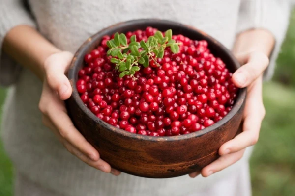 Изображение к статье: Добавьте в кашу, борщ или соус: зачем брусника нужна на вашей кухне