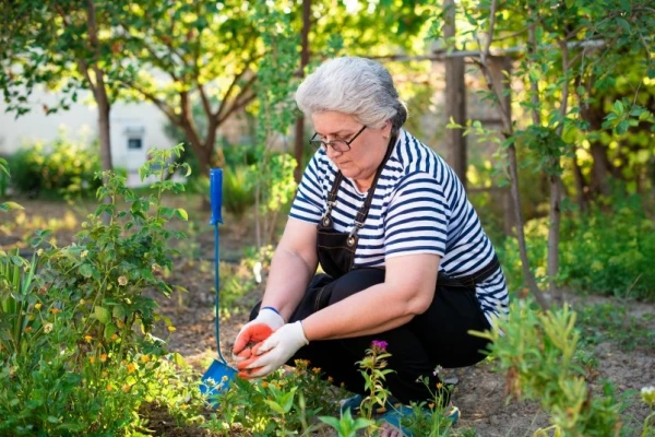 Изображение к статье: Малышева назвала «порочные позы» дачников