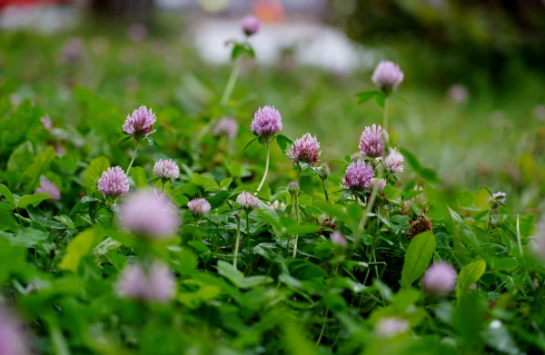 Изображение к статье: Октябрь удивит: европейские синоптики дали прогноз для Латвии