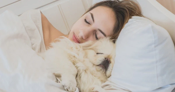 Изображение к статье: Стоит ли спать с собакой? 7 убедительных причин