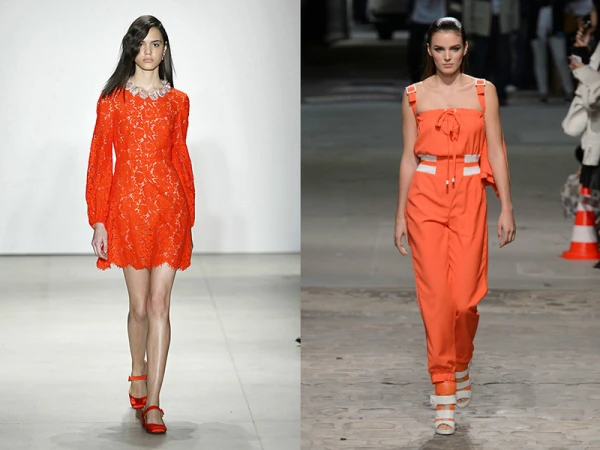 Изображение к статье: Апельсиновое настроение: о какой проблеме говорит любовь к оранжевому цвету