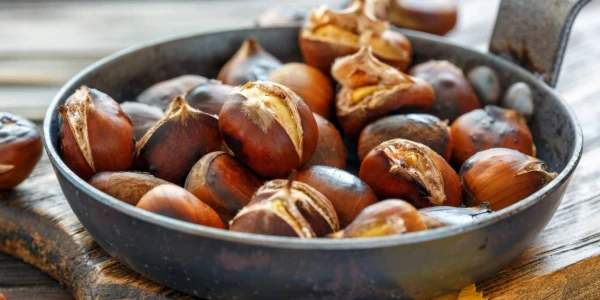 Изображение к статье: Фото: Shutterstock