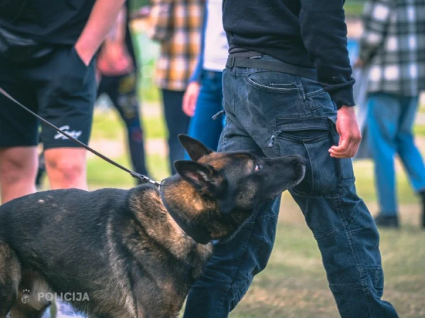 Изображение к статье: «Полицейские уделяли особое внимание нелатышам» - продюсер
