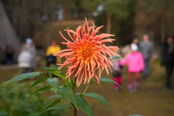 Изображение к статье: Синоптики объявили, какой будет погода завтра