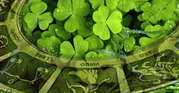 Изображение к статье: 3 знака зодиака с неиссякаемым запасом удачи