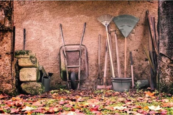 Изображение к статье: Почему агроном не советует обрабатывать перед зимой сад?