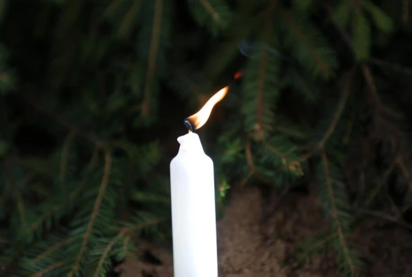 Изображение к статье: В Латвии планируют ограничить пособия по погребению