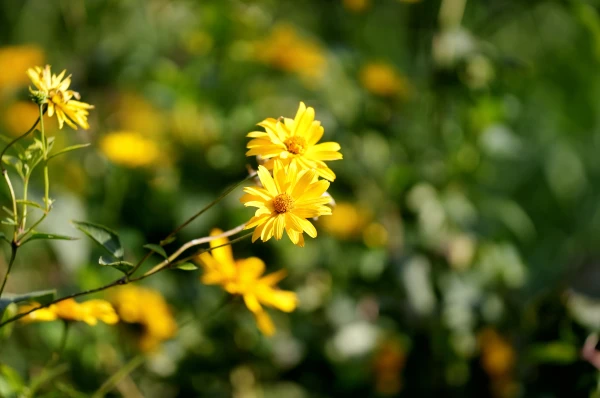 Изображение к статье: Пятница не принесёт изменений в погоде