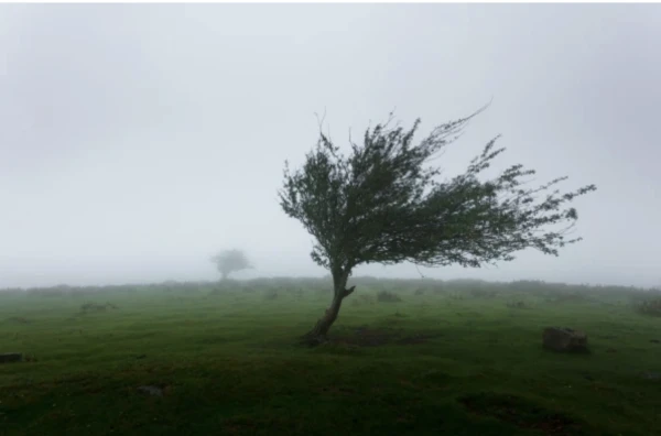Изображение к статье: Ветер идет на Латвию - синоптики предупредили жителей