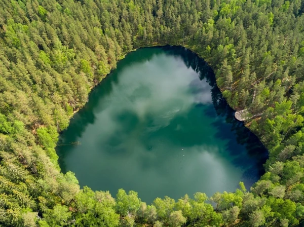 Изображение к статье: «Тайный ритуал на Чёртовом озере!» Грибники обнаружили Илона Маска в Латгалии и бежали