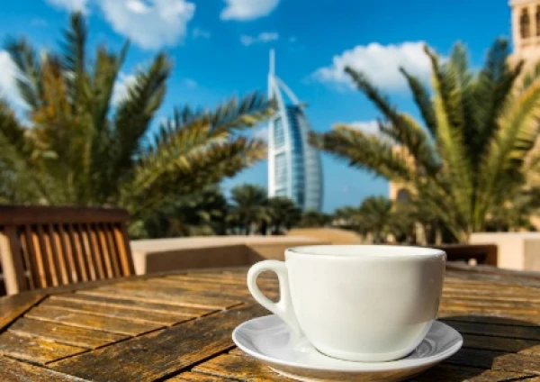 Изображение к статье: При таком пейзаже и цена соответственная,