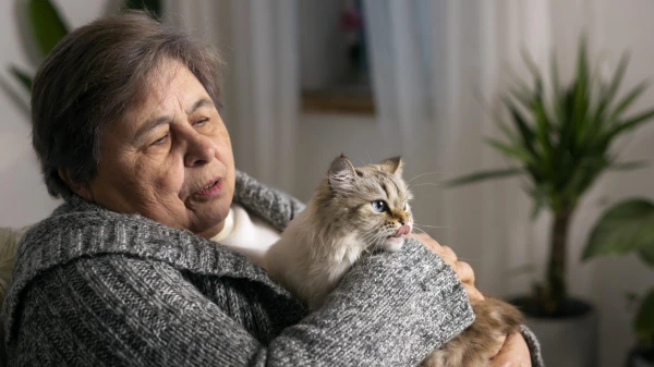 Изображение к статье: Неожиданная связь между травмой и деменцией удивила ученых