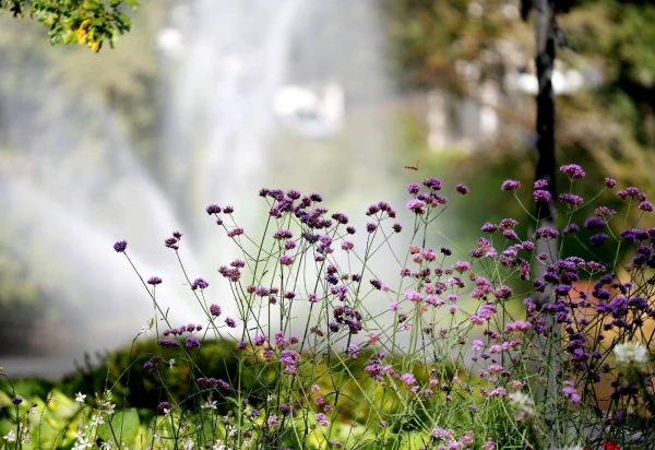 Изображение к статье: Вторая половина дня будет преимущественно солнечной и тёплой