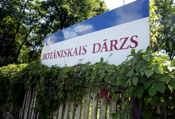 Изображение к статье: Грядет очередная реорганизация: теперь в ботаническом саду