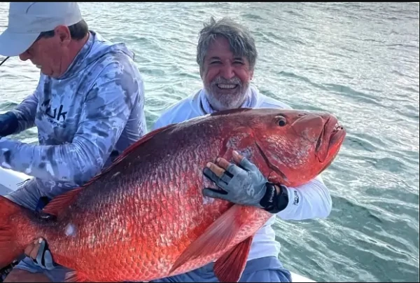 Изображение к статье: Фото: Los Buzos Panama / Facebook