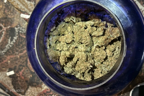 Изображение к статье: Вот это улов! Полиция изъяла наркотики на полмиллиона евро