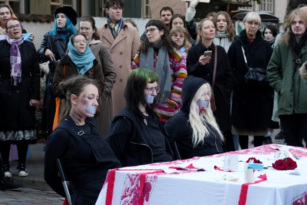 Изображение к статье: А за конвенцию ответишь! В комиссии Сейма началось обсуждение горячей темы