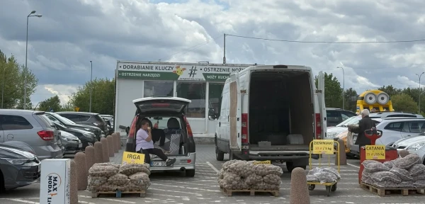 Изображение к статье: Любимый корнеплод выращивается всеми фермерами страны.