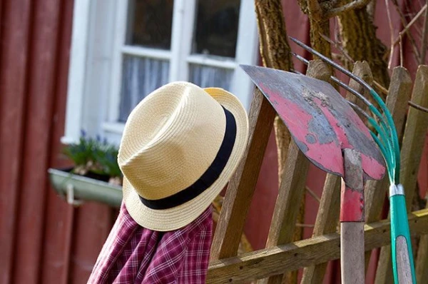 Изображение к статье: Что делать на даче в октябре?