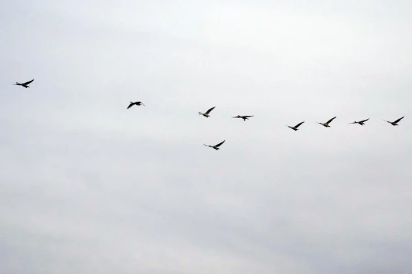 Изображение к статье: Воскресенье в Латвии будет совсем неприветливым