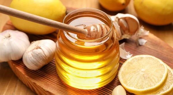 Изображение к статье: Природные антибиотики: в каких продуктах содержатся фитонциды