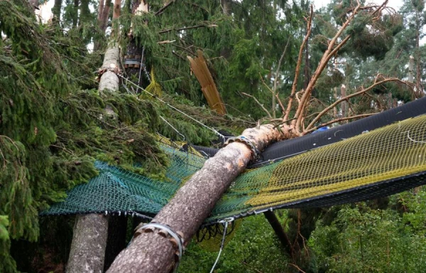 Изображение к статье: Рассказали, какие разрушения вызвал ветер в Риге