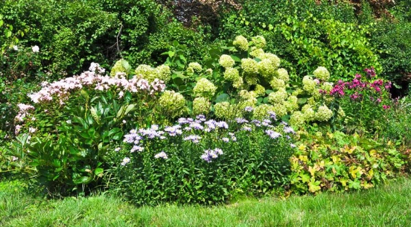 Изображение к статье: Как правильно провести обрезку цветника в октябре