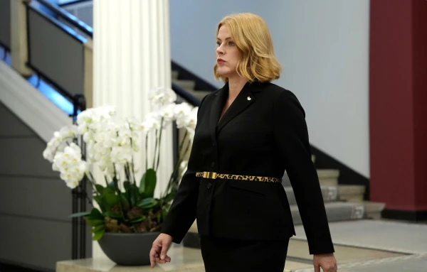 Изображение к статье: Силиня о «некоторых партиях» :  все ли они сделали для нашей безопасности