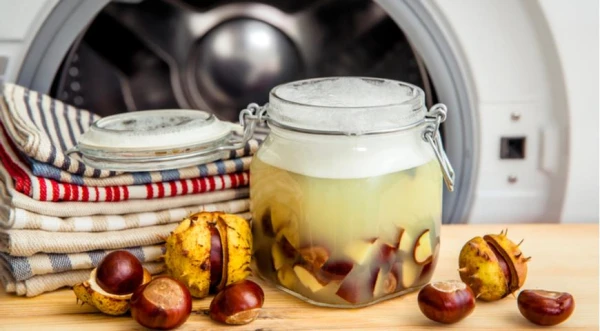 Изображение к статье: Как приготовить экологичное мыло из каштанов?