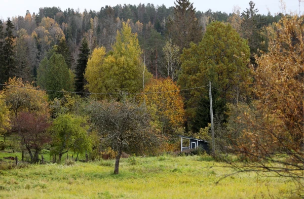 Изображение к статье: Во вторник в большинстве районов ожидается дождь
