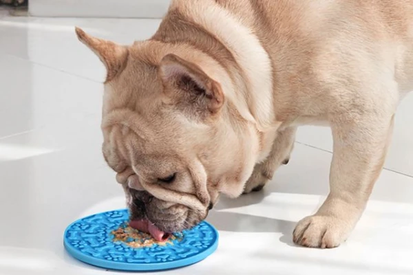 Изображение к статье: Как сделать так, чтобы собака ела медленнее?