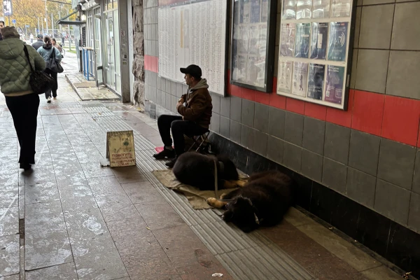 Изображение к статье: Скоро за выручкой придут их хозяева.