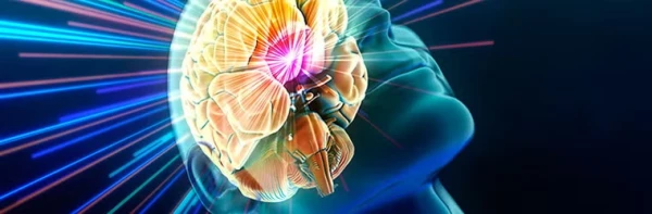 Изображение к статье: Наш мощный биологический компьютер.