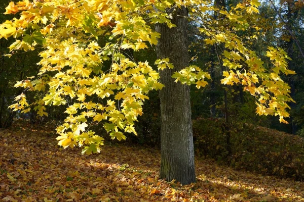 Изображение к статье: Не верится, но к выходным погода изменится