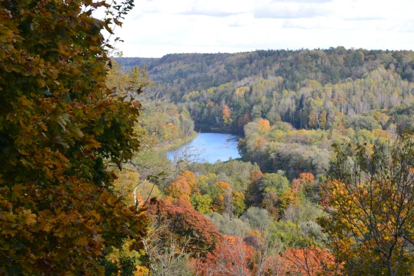 Изображение к статье: Милая красавица Гауя. Фото автора.