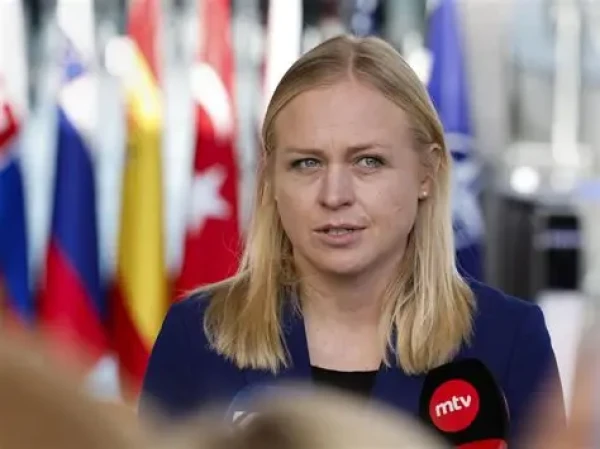 Изображение к статье: Председатель ОБСЕ оштрафована в Грузии за участие в митинге - печеньки несвежие?