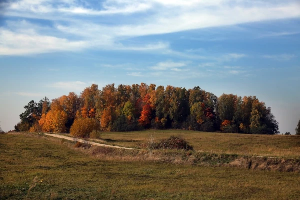 Изображение к статье: В пятницу на большей части страны будет светить солнце
