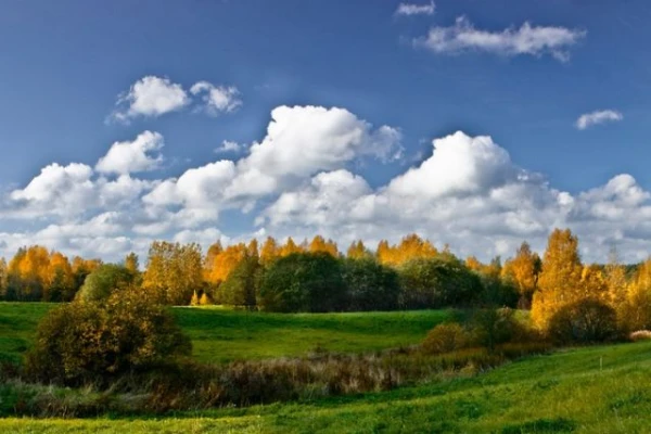 Изображение к статье: Сколько раз осенью может быть бабье лето?