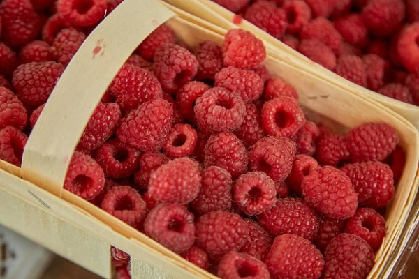 Изображение к статье: Популярная ягода оказалась защитником сосудов от воспаления